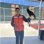 Ingeniero en especialidad de seguridad, salud y medio ambiente, auditor interno líder en el sistema ISO, trámites gubernamentales